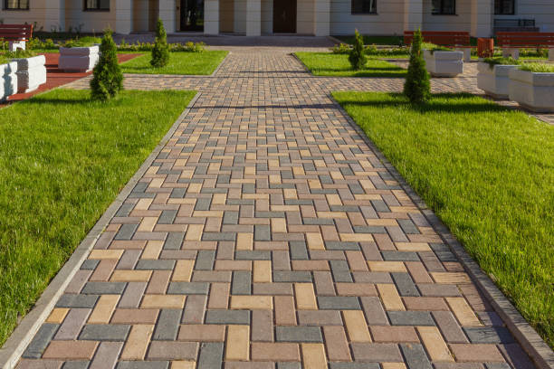 Best Driveway Paving Contractor  in Essexville, MI